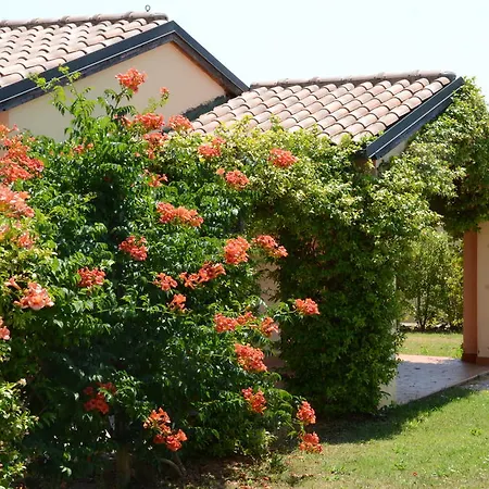 Le Corti Di Montepitti