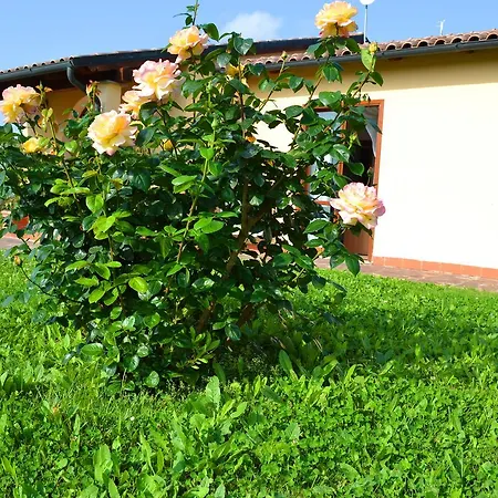 Le Corti Di Montepitti Aparthotel